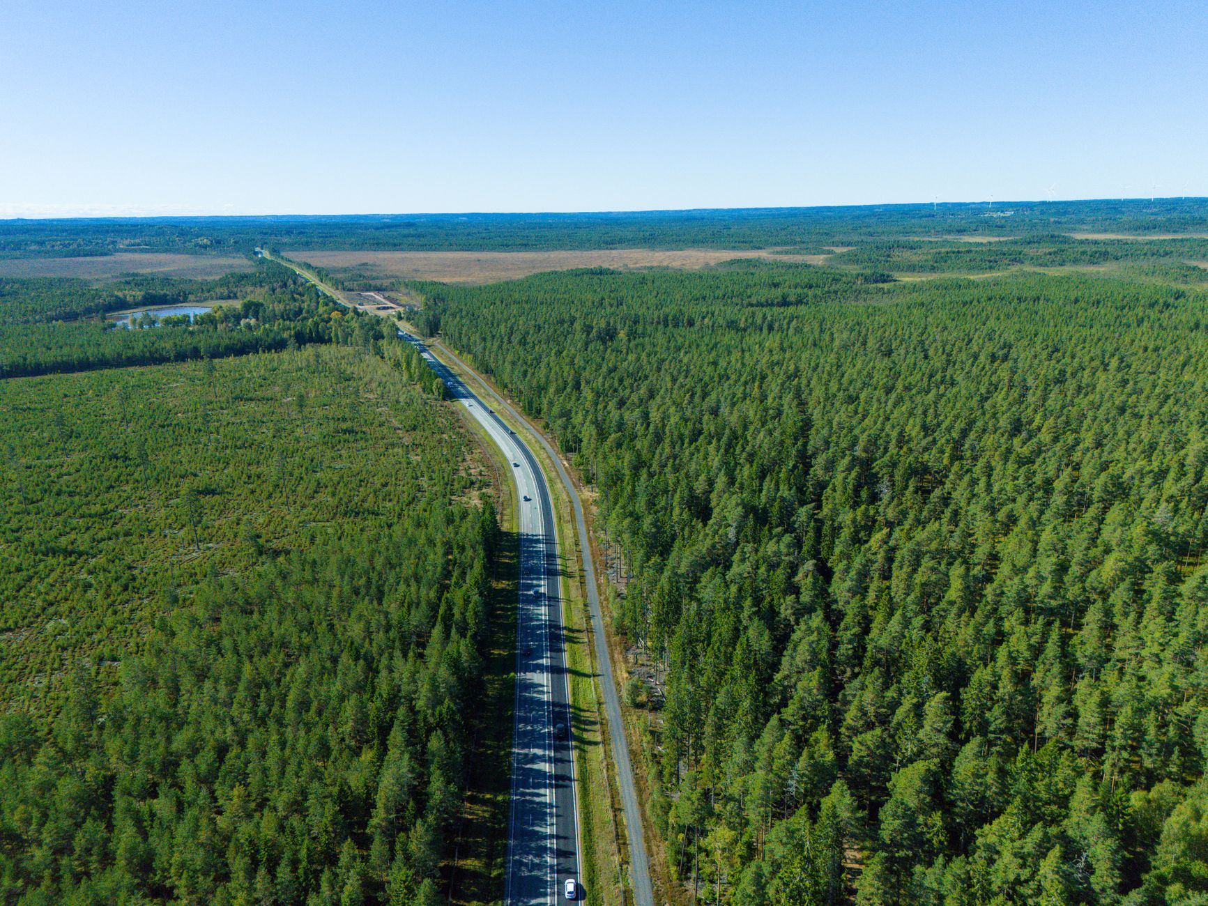 Svensk landsväg genom tallskog — flygvy en solig dag